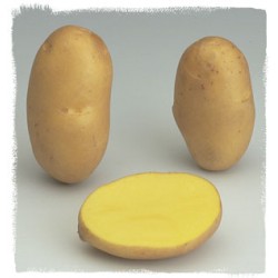 AGRIA BIO