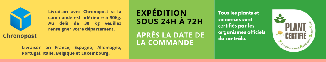 Expédition sous 24h à 72h