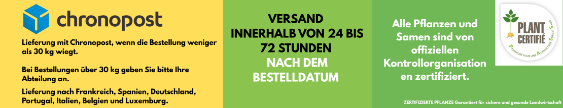 Versand innerhalb von 24h bis 72h
