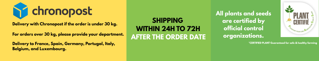 Shipping within 24 to 72 hours