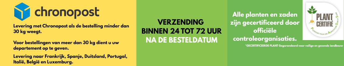 Verzending binnen 24 tot 72 uur