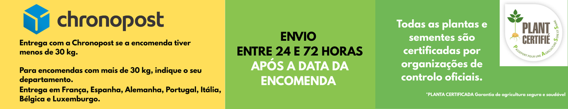 Envio dentro de 24h a 72h