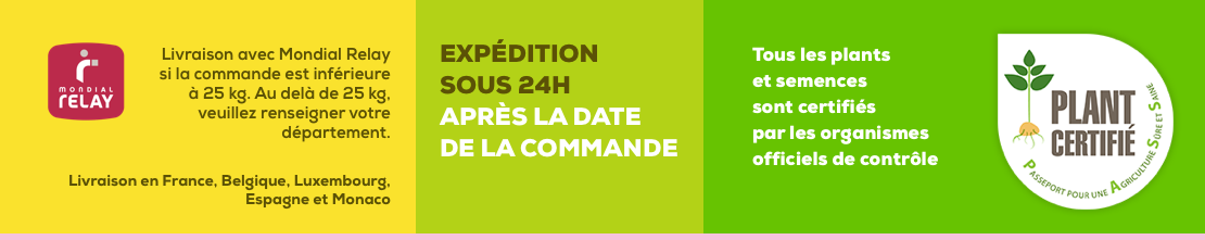 Expédition sous 24h